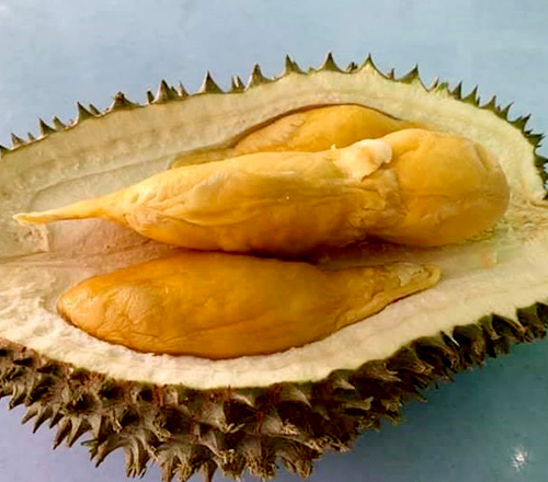 Durian Ioi Group